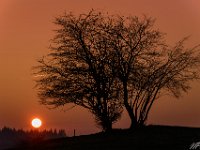 2014.03.07_185945_Sonnenuntergang Sachsenried_3000.jpg